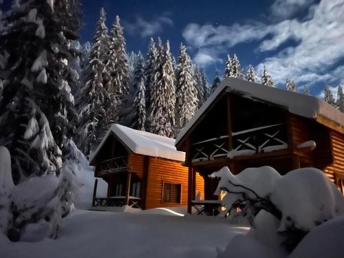 a cabin with a snow covered cabin and trees at Власовъ in Pamporovo