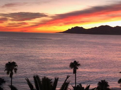 Photo de la galerie de l'établissement Coeur de Cannes, à Cannes