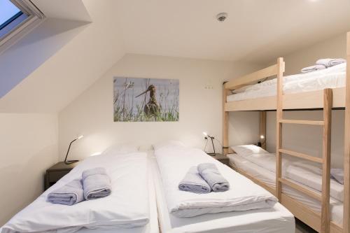 a bedroom with two bunk beds in a room at Vakantiewoning Trimaarzate in Zwevegem
