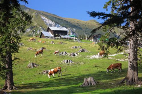 a herd of cows grazing in a field with trees at Glamping Mountain Fairy Tale in Bistrica pri Tržiču