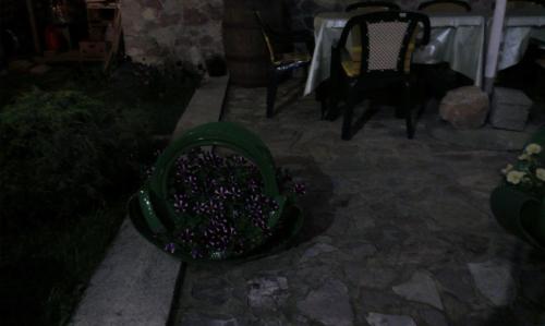 a green planter full of flowers on a patio at Private accommodation Lidija Rakočević in Kolašin