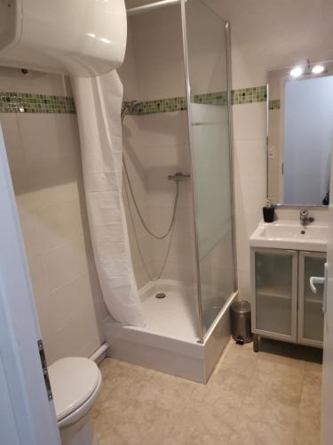 ein Bad mit einer Dusche, einem WC und einem Waschbecken in der Unterkunft Studio cosy au pied du METRO FLACHET in Villeurbanne