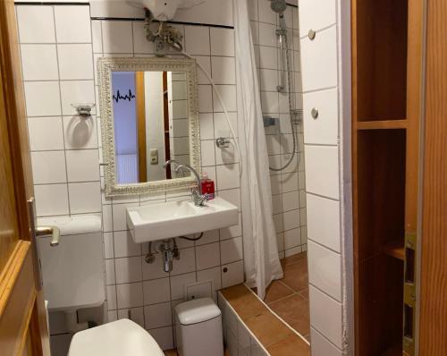 a bathroom with a sink and a toilet and a mirror at Ferienwohnung Bress in Ueckermünde