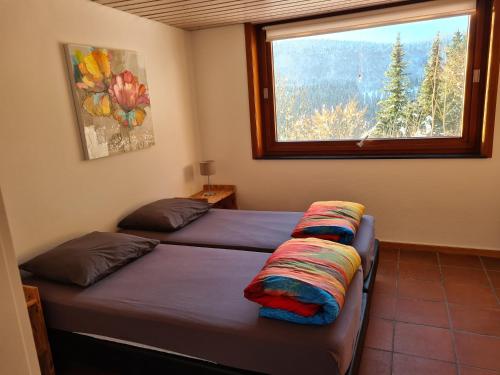 two beds in a room with a window at Ruime, gezellige vakantiewoning nabij Winterberg voor 2 tot 6 rustige natuurliefhebbers in Schmallenberg