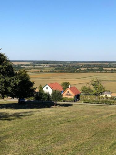 a house in a field of grass with a tree at Kellerstöckl Postrumer Weinberg 48 in Kulm im Burgenland
