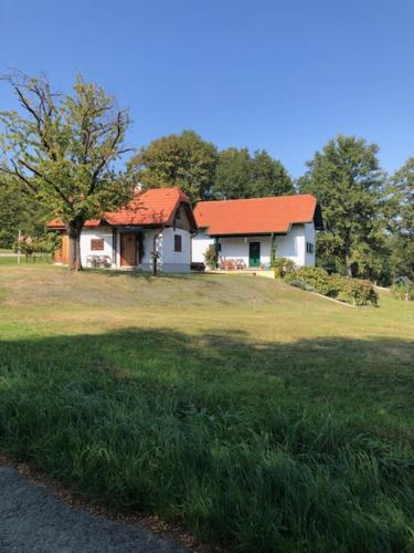 ein weißes Haus mit orangefarbenem Dach auf einem Feld in der Unterkunft Kellerstöckl Postrumer Weinberg 49 in Kulm im Burgenland