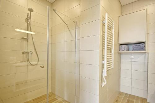 a bathroom with a shower and a glass shower stall at Apartment DoMiSol in Druskininkai