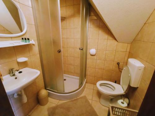 オホトニツァ・グルナにあるNoclegi u Lidiiのバスルーム(シャワー、トイレ、シンク付)