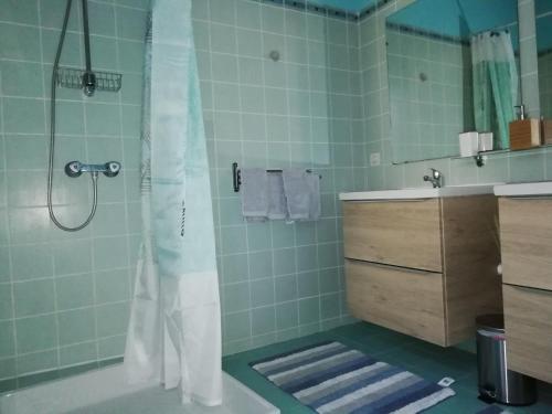 La salle de bains est pourvue d'une douche et d'un lavabo. dans l'établissement Le rouge Robin, à Fougax-et-Barrineuf