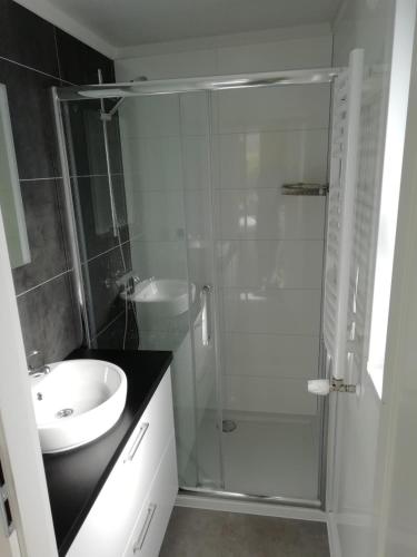 Bilik mandi di Chalet Vechtdal