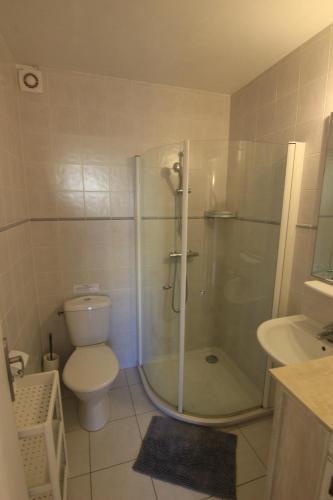 a bathroom with a shower and a toilet and a sink at Appartement SOULAC SUR MER À 500 m de la plage N 5 in Soulac-sur-Mer