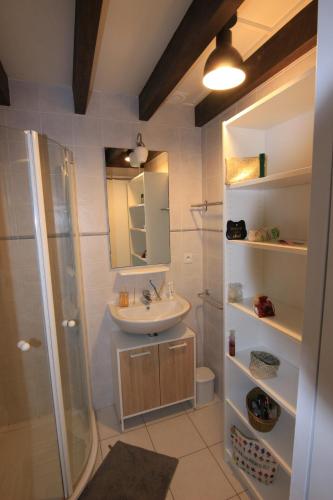a bathroom with a sink and a shower at Appartement SOULAC SUR MER À 500 m de la plage N 7 in Soulac-sur-Mer