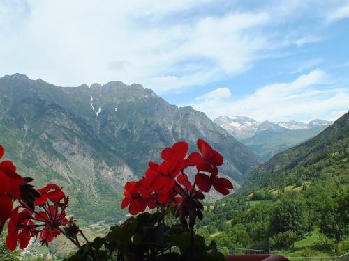 a red flower with mountains in the background at Hotel Areulo in Cerler