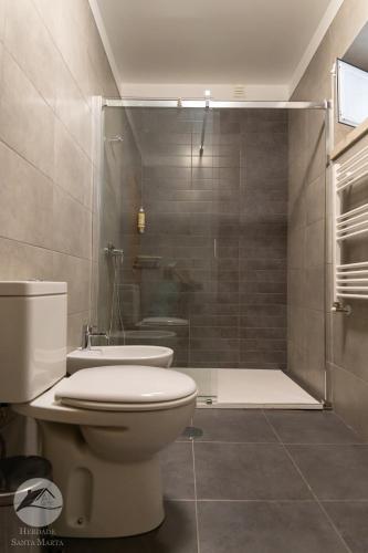 a bathroom with a toilet and a shower at Alojamento Local Santa Marta in Zebreira