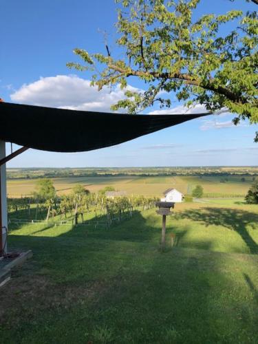 a view of a vineyard from a porch with a curtain at Kellerstöckl Postrumer Weinberg 48 in Kulm im Burgenland