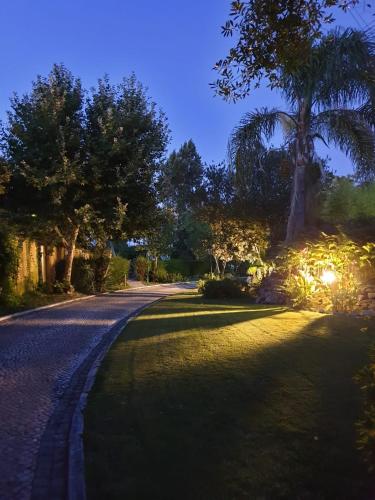 a road with a palm tree at night at Quinta Lagus Resort - Casa de Campo in Palmela