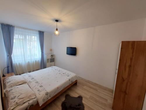 a bedroom with a bed and a cat sitting on the floor at Youth Central Apartment in Târgu-Mureş