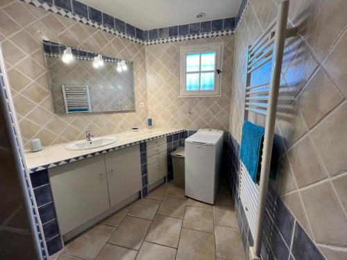 une salle de bain avec un lavabo et un miroir dans l'établissement Gite Chez Un Producteur de Fruits., à Boulbon