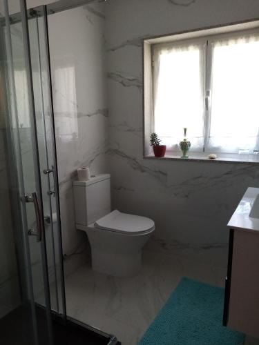 a bathroom with a toilet and a window at Vivenda das Carvalhas in Amiar