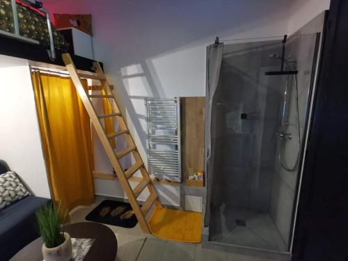 La salle de bains est pourvue d'une douche et d'une échelle à côté d'une douche. dans l'établissement Studette "La Fourmi" proche centre et plage, à Beaulieu-sur-Mer