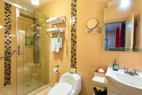 a bathroom with a shower and a toilet and a sink at Hotel Boutique Los Balcones in Cuenca
