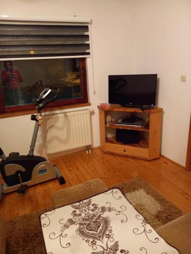 Μια τηλεόραση ή/και κέντρο ψυχαγωγίας στο Apartman Suzana