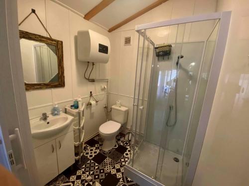 La salle de bains est pourvue d'une douche, de toilettes et d'un lavabo. dans l'établissement Domki Promyk, à Mrzeżyno