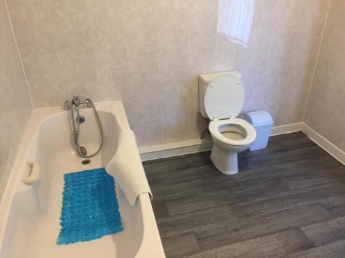a bathroom with a toilet and a bath tub at Crumlin Road Town House in Belfast