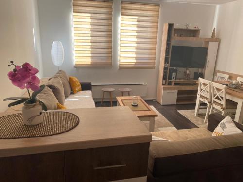 Foto sihtkohas Raška asuva majutusasutuse Sunčani breg apartman 7 galeriist