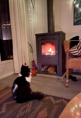 a black and white cat sitting in front of a fireplace at The Outpost Lakehouse- enjoy our house at Reeuwijkse Plassen - near Gouda in Reeuwijk