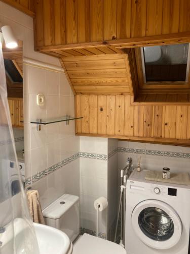 a bathroom with a toilet and a washing machine at Eth Céu de Salardú in Salardú