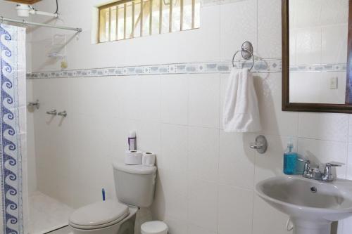 a white bathroom with a toilet and a sink at Finca Chalet La Tawa in Sevilla