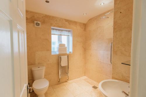 a bathroom with a toilet and a shower and a sink at GWYNANT BACH - Cosy 2 Bed Bungalow Cottage in Snowdonia National Park, Conwy, North Wales in Conwy