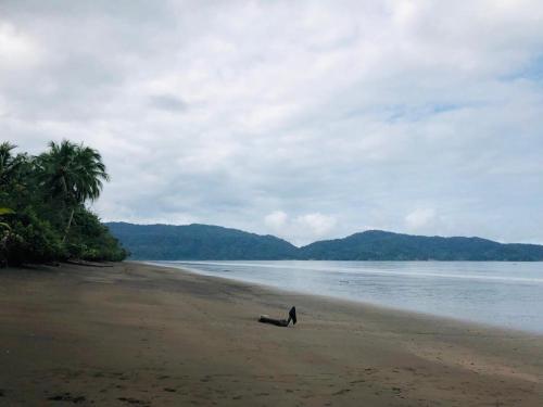 una persona parada en una playa cerca del agua en Paraiso Escondido en Bahía Solano