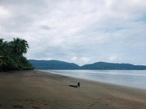 a person standing on a beach near the water at Paraiso Escondido in Bahía Solano