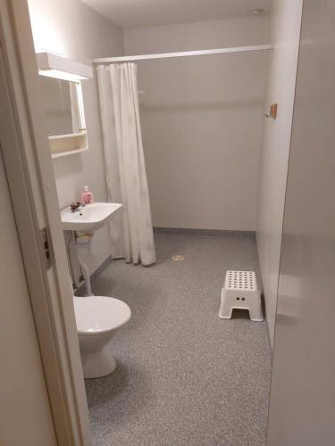 Ett badrum på Hammarö Vandrarhem