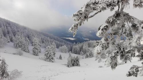 a view of a snow covered mountain with trees at Au chalet de JO avec accès à l'espace piscine et jacuzzi in Muhlbach-sur-Munster