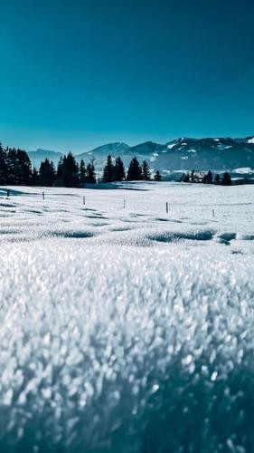 a snow covered field with trees in the background at Penthouse im Dachgeschoss in Sonthofen