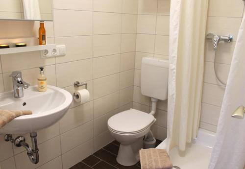 a bathroom with a toilet and a sink at Landhaus Lippmann Whg2 in Grönwohldshorst