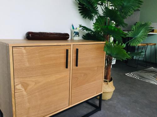 a wooden cabinet in a room with two plants at Grand Studio avec terrasse proche de l'hypercentre de Lorient in Lorient