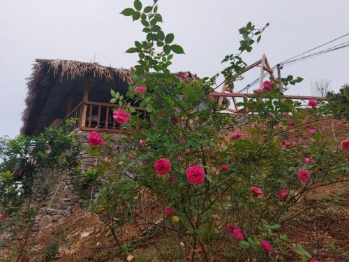 a house on top of a hill with pink roses at Mộc Châu Peachy Garden in An Pon