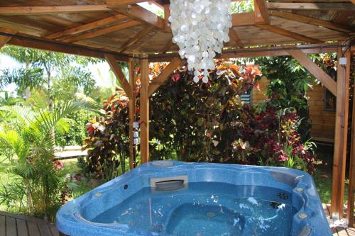 Zahrada ubytování LA LIANE DE JADE 974 - Lodge "Ylang Ylang" piscine chauffée - jacuzzi privatif