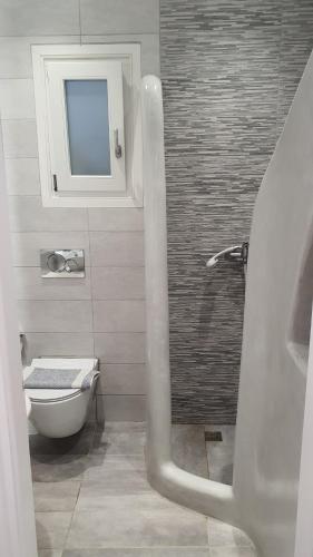 a bathroom with a shower with a toilet and a mirror at Augusta Studios & Apartments in Naousa