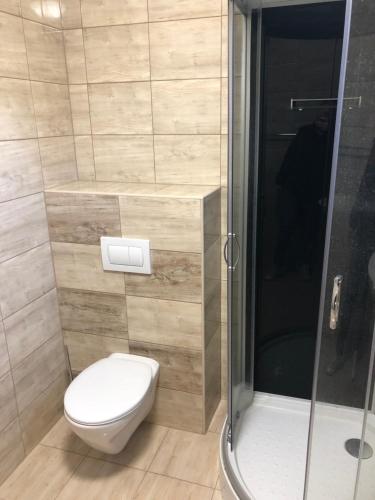 a bathroom with a toilet and a shower at Elvira Vendégház in Kisbodak
