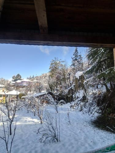 a view of a snow covered yard with trees at Rustic wood house - A village home stay in Jibhi Valley in Jibhi