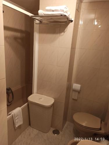 a small bathroom with a toilet and a shower at Crisol Plaza in Ampuero