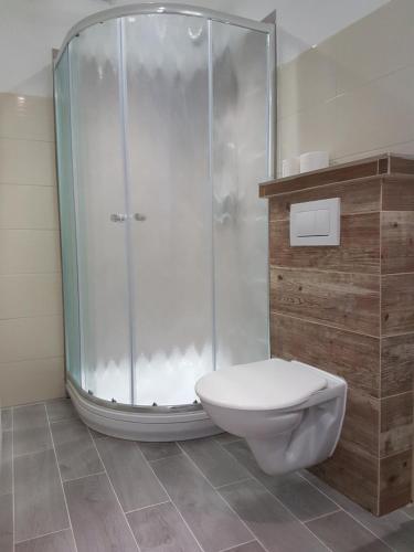uma casa de banho com um WC e uma cabina de duche em vidro. em Apartment House Staňkov em Staňkov