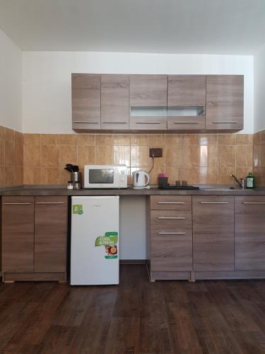 een keuken met een witte koelkast en houten kasten bij Apartment House Staňkov in Staňkov