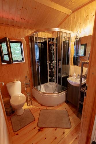 a bathroom with a shower and a toilet and a sink at Skarb Bałtyku in Debina