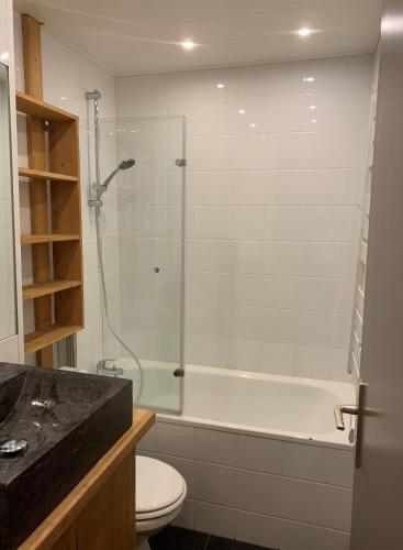 une salle de bain avec une douche, des toilettes et un lavabo dans l'établissement Appartement Velaer Valmorel, à Valmorel